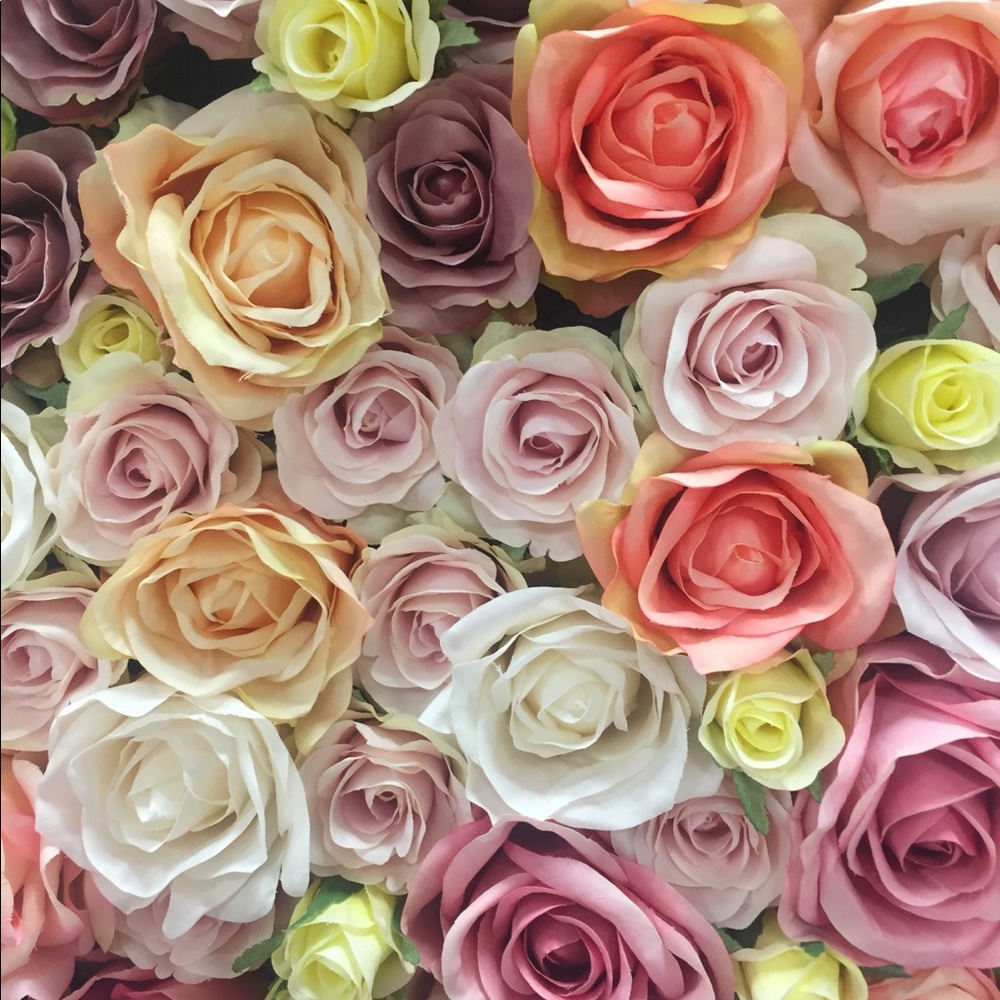 Meet your Posher, Cristina